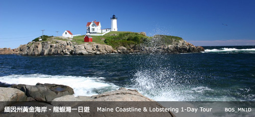 Maine Coastline & Lobstering 1 Day